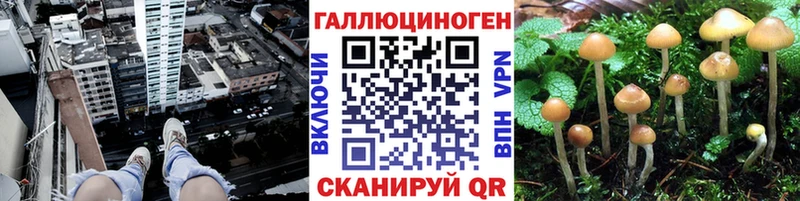KRAKEN вход  Батайск  Псилоцибиновые грибы Magic Shrooms 